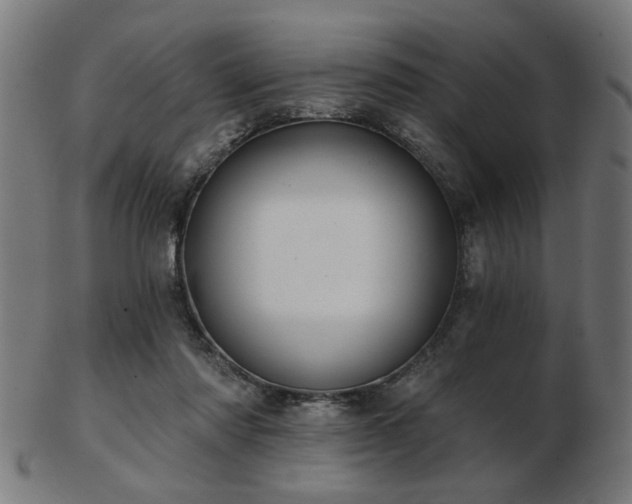 X0000103420310200809121313
