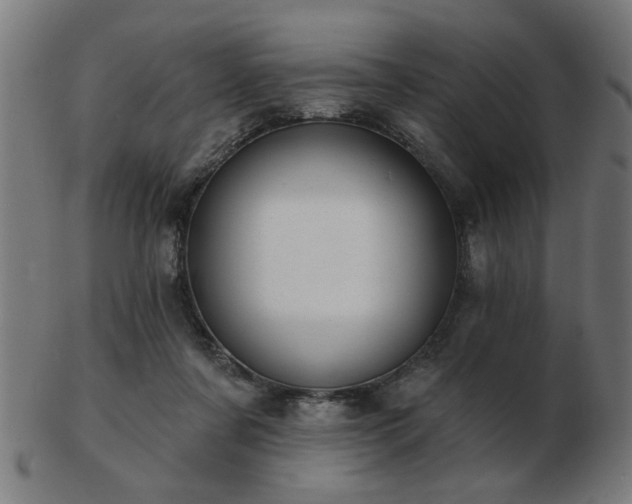 X0000103420311200809121313