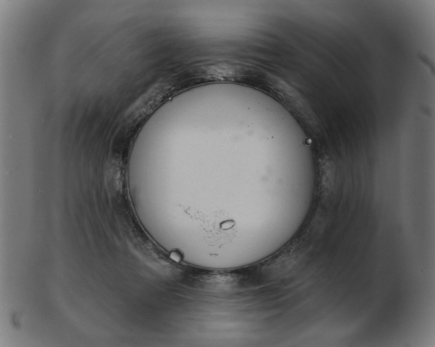 X0000103420313200809121313