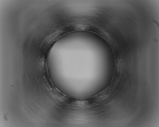 X0000103420314200809121313
