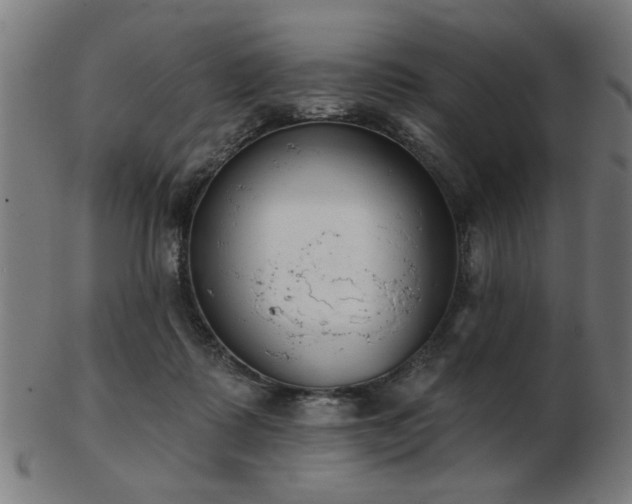X0000103420315200809121313