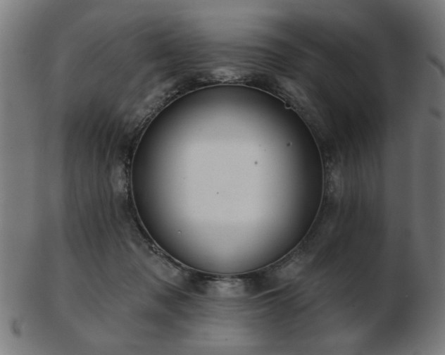 X0000103420317200809121313