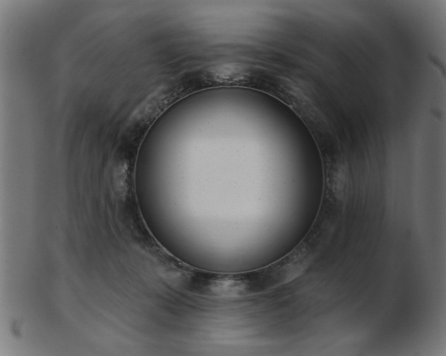 X0000103420319200809121313