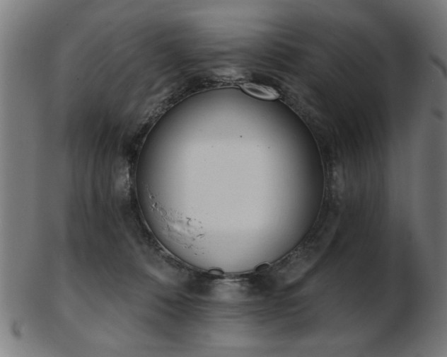 X0000103420320200809121313