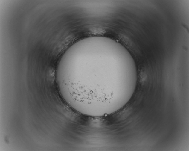 X0000103420321200809121313