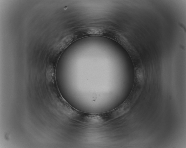 X0000103420322200809121313