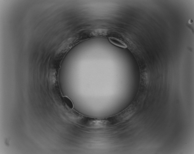 X0000103420323200809121313