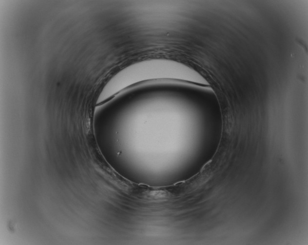 X0000103420324200809121313