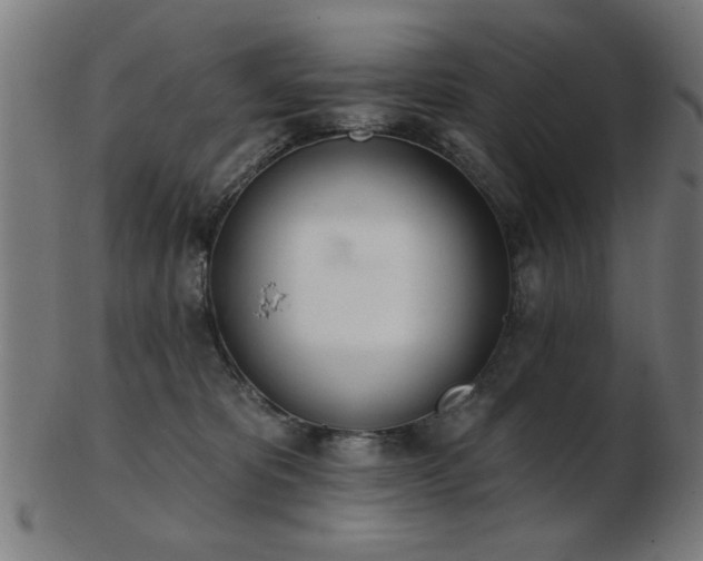 X0000103420325200809121313