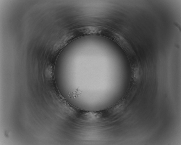 X0000103420326200809121313