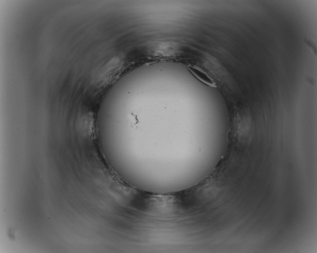 X0000103420328200809121313