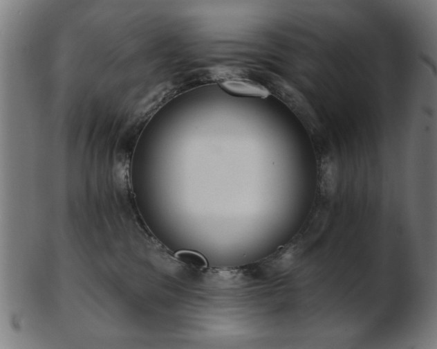X0000103420329200809121313