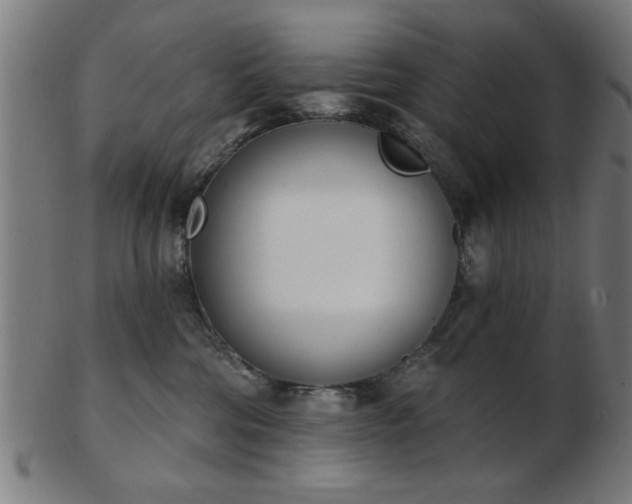 X0000103420330200809121313