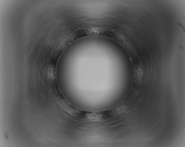 X0000103420331200809121313