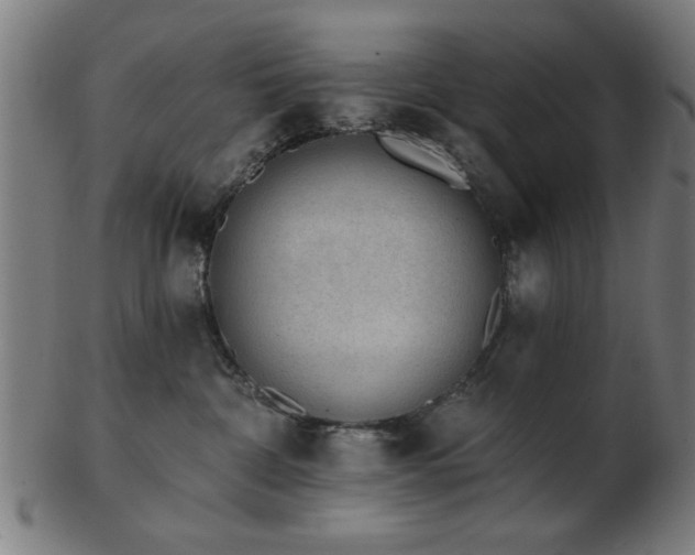 X0000103420332200809121313