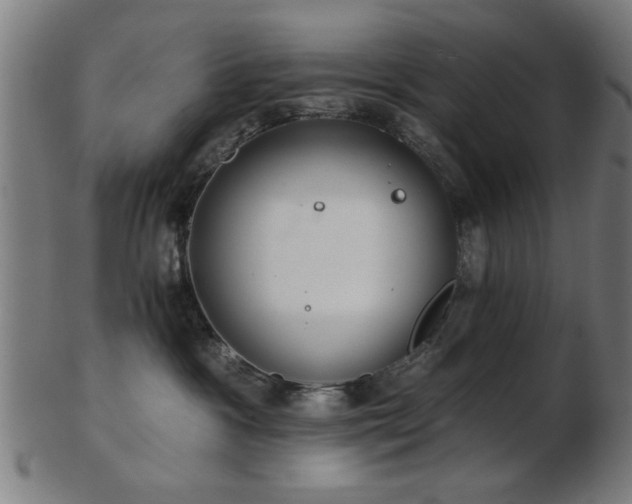 X0000103420333200809121313