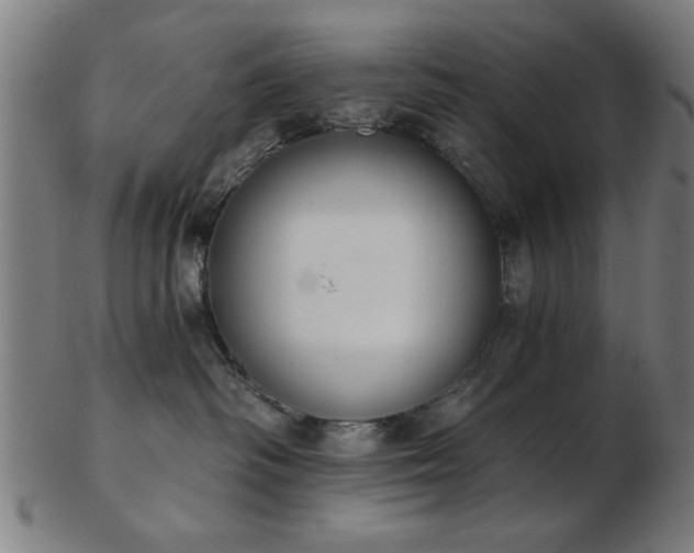 X0000103420334200809121313