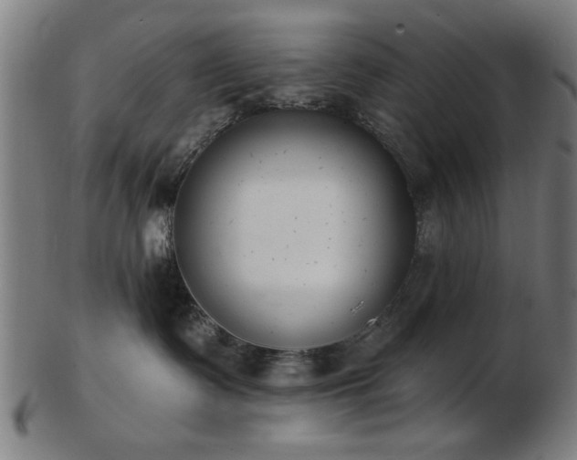 X0000103420335200809121313