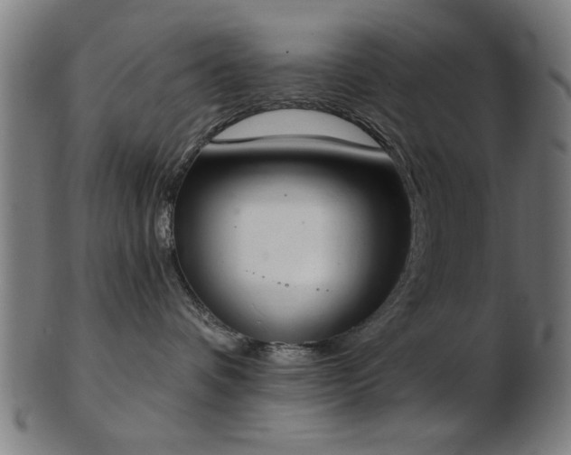 X0000103420336200809121313