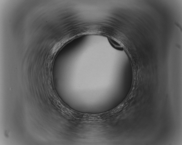 X0000103420337200809121312