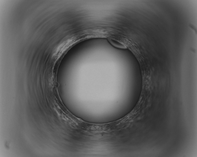 X0000103420338200809121312