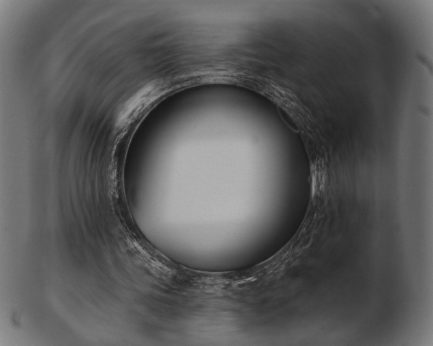 X0000103420339200809121312