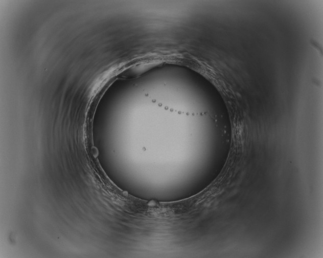 X0000103420340200809121312