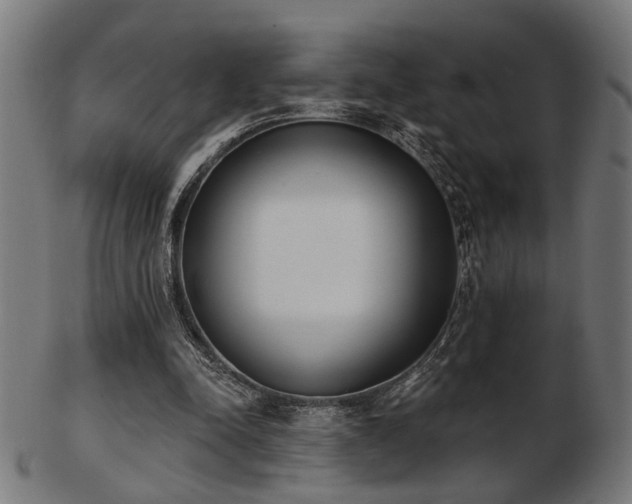 X0000103420342200809121312