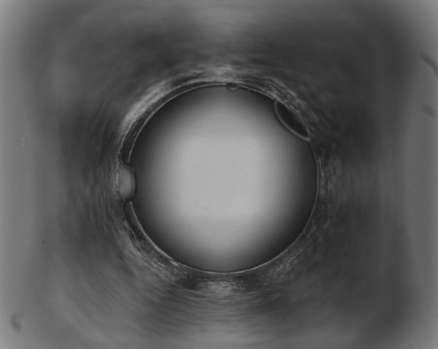X0000103420344200809121312