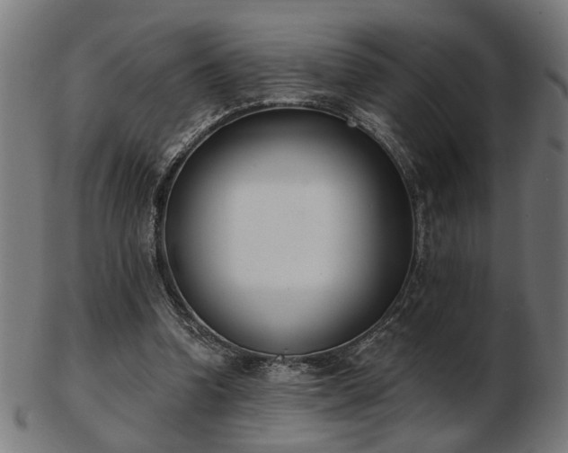 X0000103420346200809121312