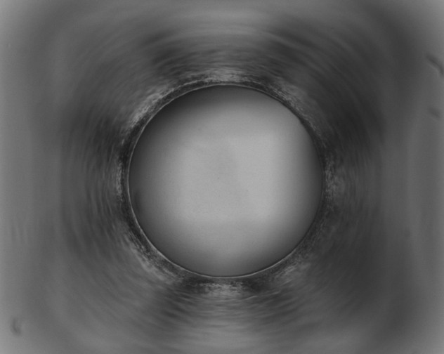 X0000103420347200809121312