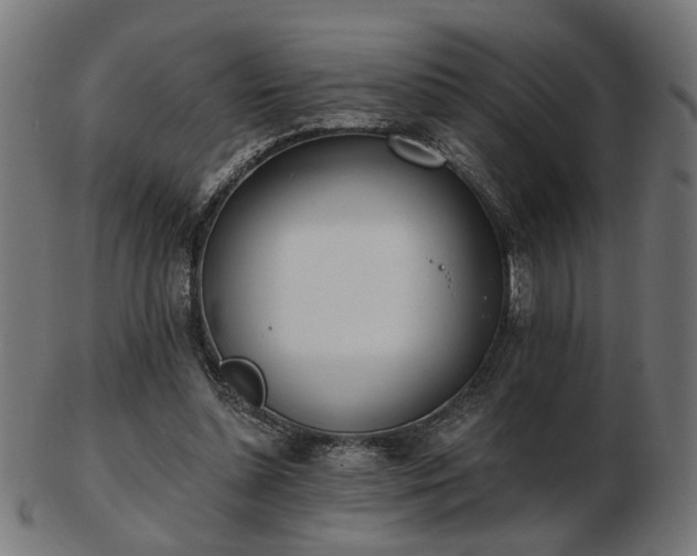 X0000103420348200809121312