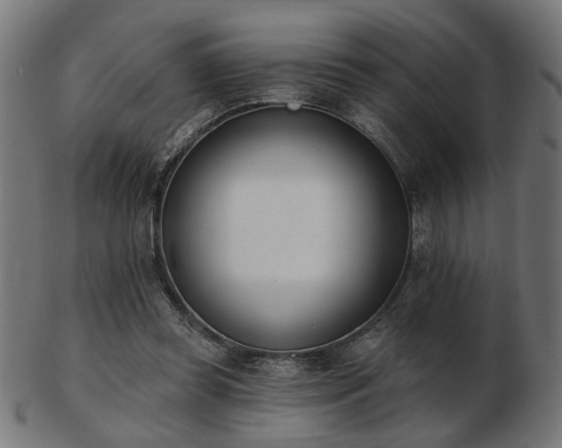 X0000103420349200809121312