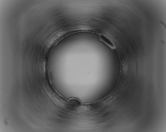 X0000103420350200809121312