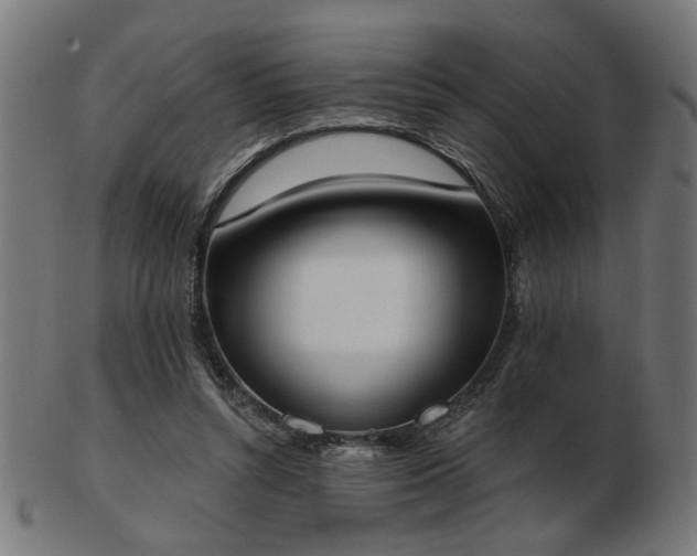 X0000103420352200809121312