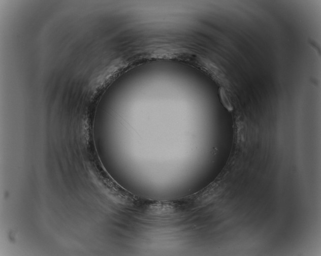 X0000103420354200809121312