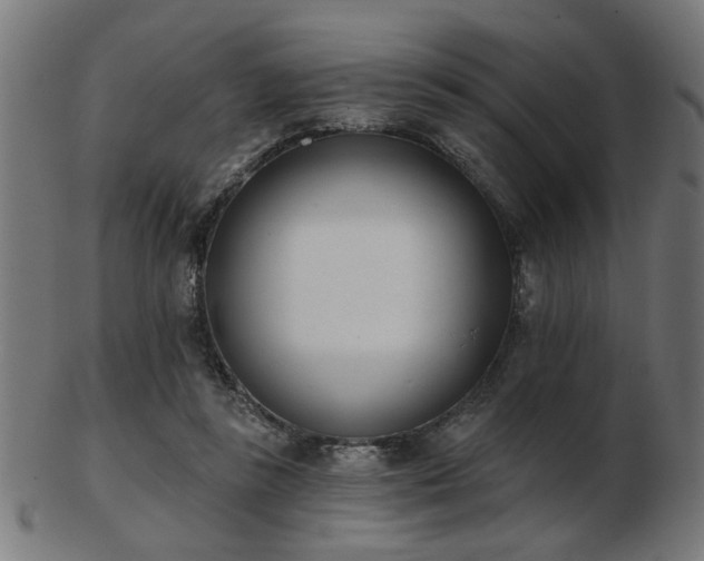 X0000103420355200809121312