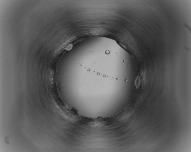 X0000103420356200809121312