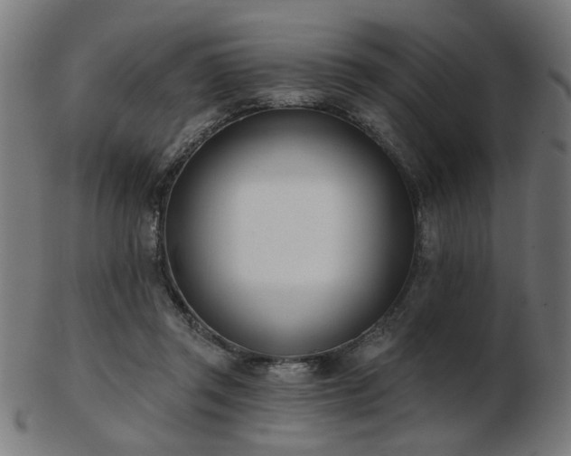X0000103420357200809121312