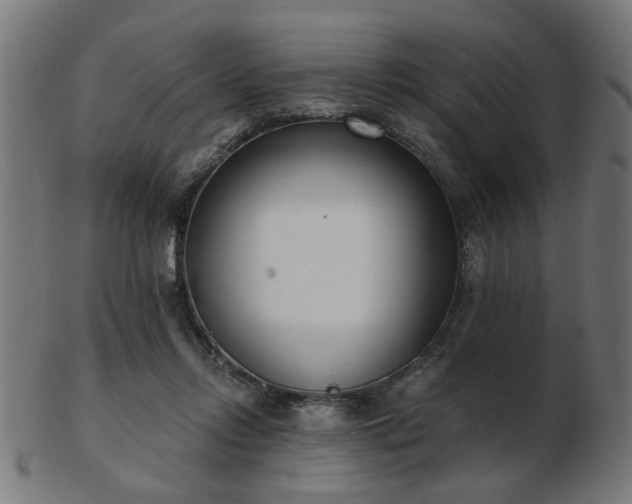 X0000103420358200809121312