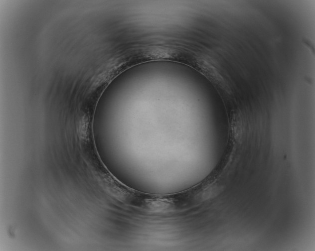 X0000103420359200809121312