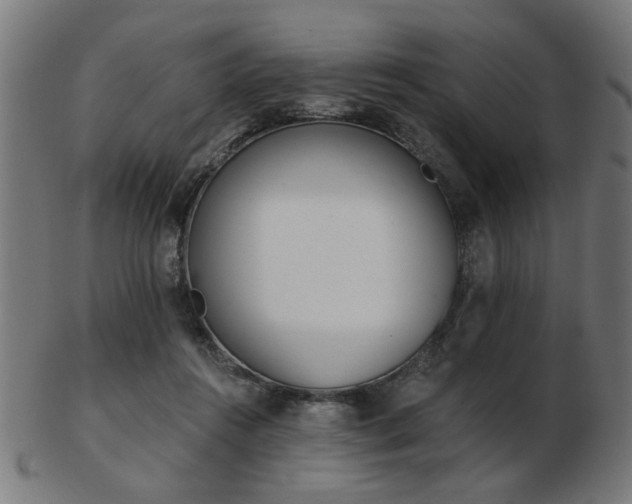 X0000103420360200809121312