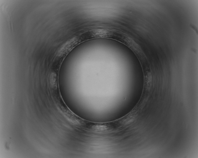 X0000103420361200809121312
