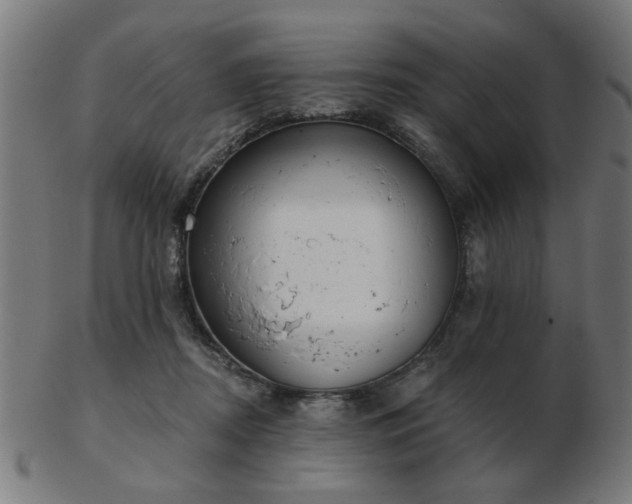 X0000103420362200809121312