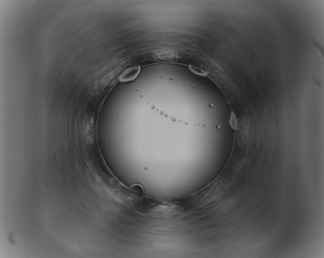 X0000103420364200809121312