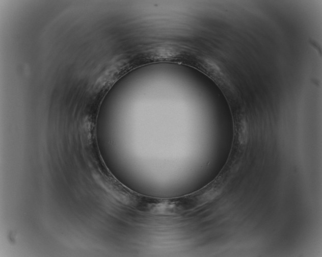 X0000103420366200809121313