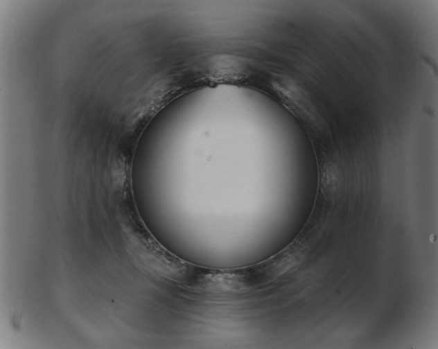 X0000103420367200809121313