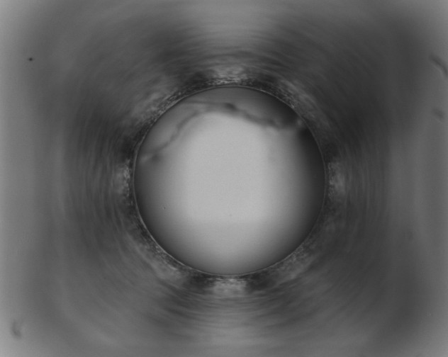 X0000103420369200809121313