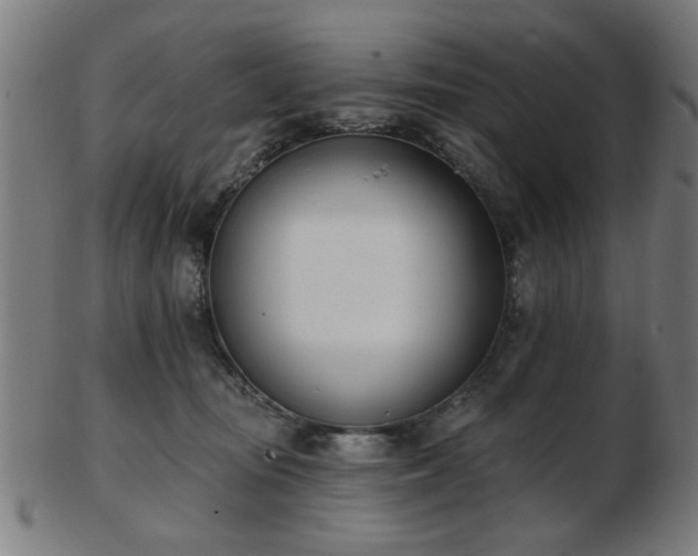 X0000103420371200809121313