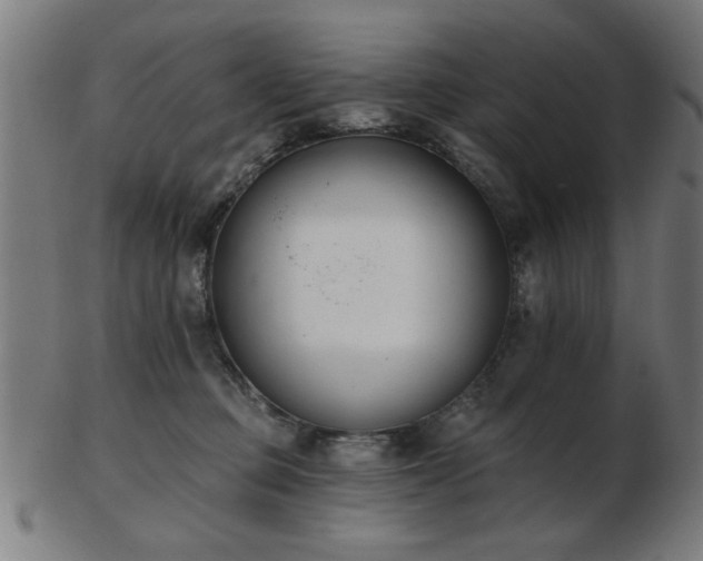 X0000103420373200809121313